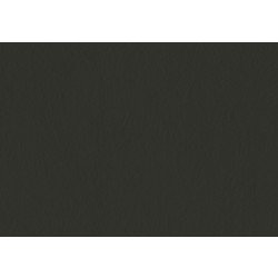 Fassadenbahn STAMISOL EXTREME Color FASABAHN-STAMISOL-RAL7021-26X2,5M-65QM