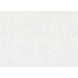 Fassadenbahn STAMISOL EXTREME Color FASABAHN-STAMISOL-RAL9010-26X2,5M-65QM