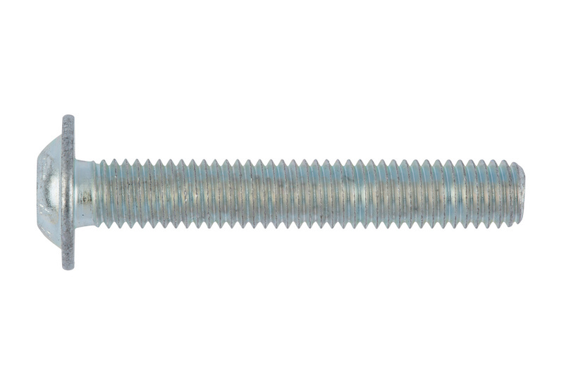 Schraube abgeflachter Halbrundkopf mit Bund und Innensechskant M6 x 12